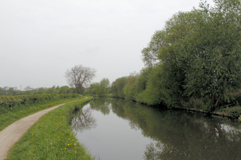 Trent & Mersey Canal Trent & Mersey Canal
